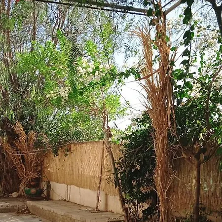 Szálloda Jonty Villa, Mazotos Lárnaka